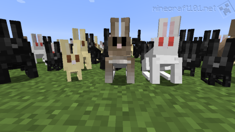 Minecraft rabbits