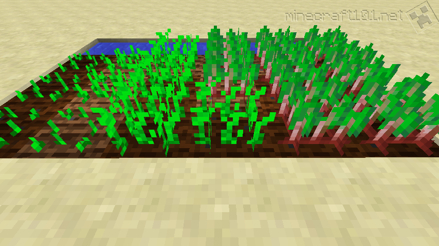 How to Plant Seeds in Minecraft