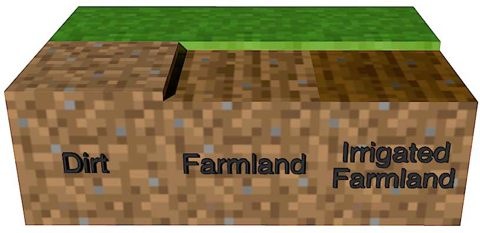 farmland in minecraft