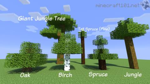 Tree types in Minecraft