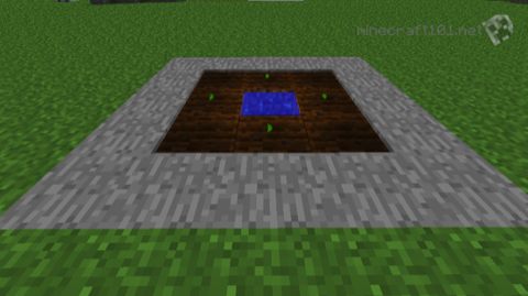 Small melon farm