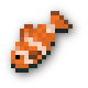 Clownfish