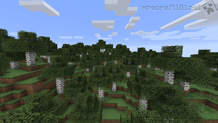 Minecraft Biomes