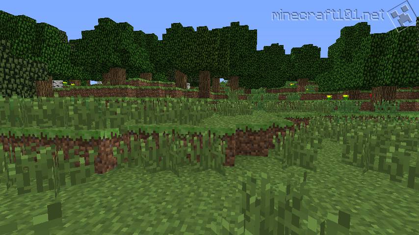 http://www.minecraft101.net/r/i/biome_forest.jpg
