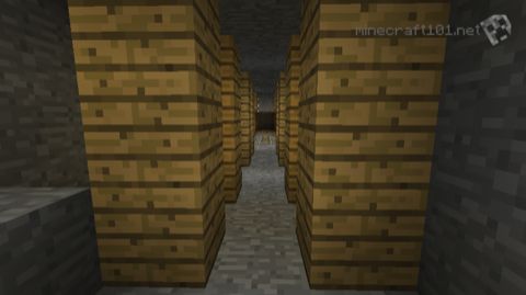 Abandoned Mineshaft