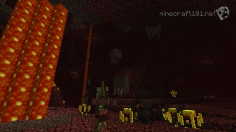 Welcome to The Nether