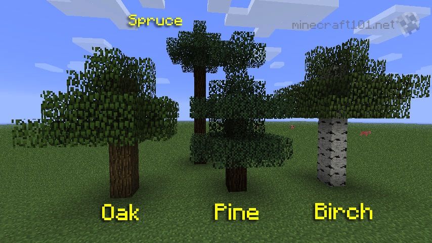 Birch Wood Minecraft Minecraft trees - fancy