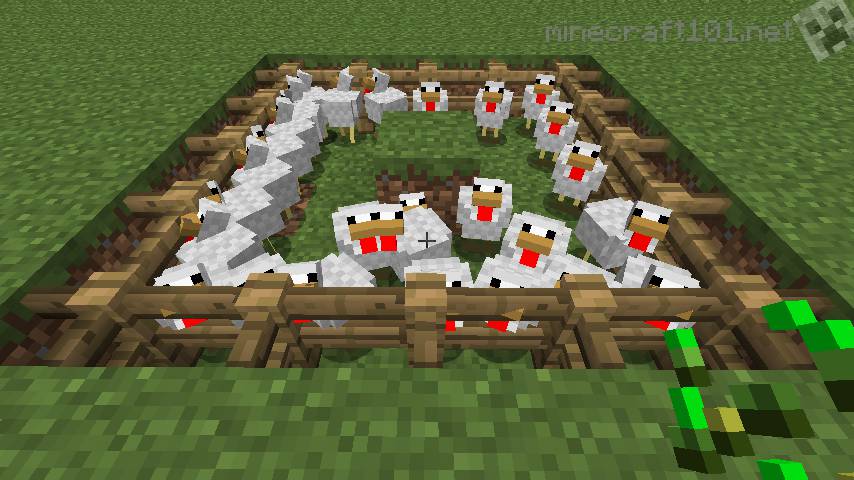 Basic Chicken Farm Tutorial | Minecraft 101